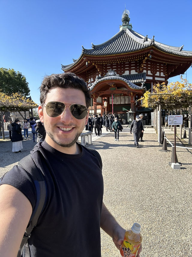 Japan Review: Ready to discover Nara’s tastiest bites?  Japan Review: Ready to discover Nara’s tastiest bites?