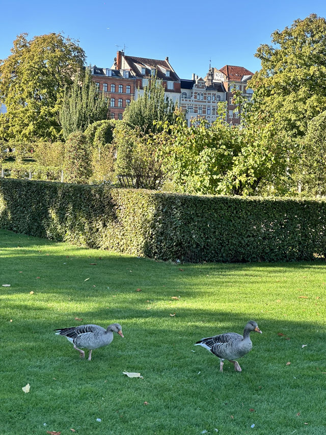 Copenhagen Trip: Walking around the Fairytale Royal Garden!
