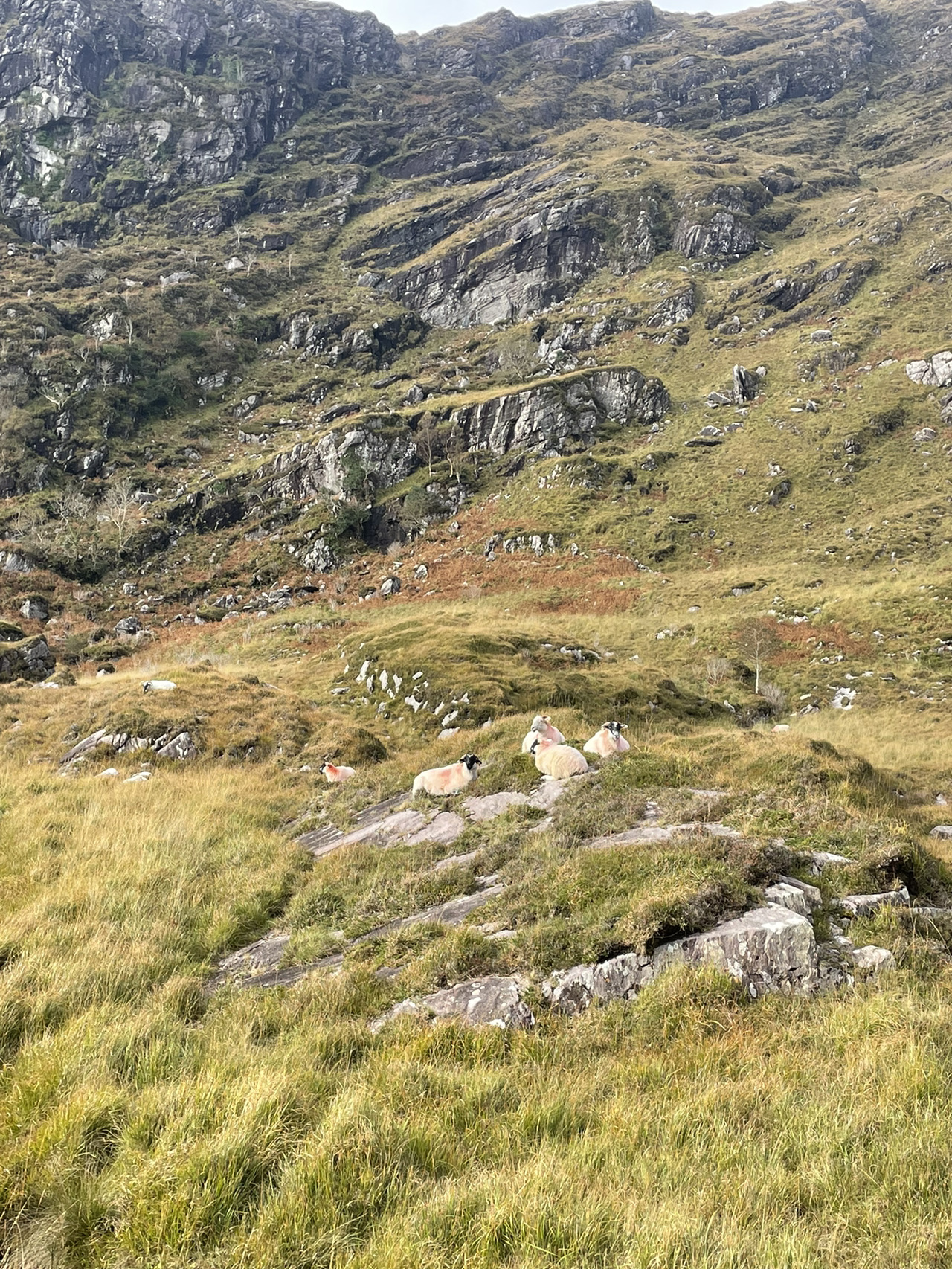 Taman Nasional Killarney, Gap of Dunloe