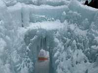 Epic Ice Sculptures✨