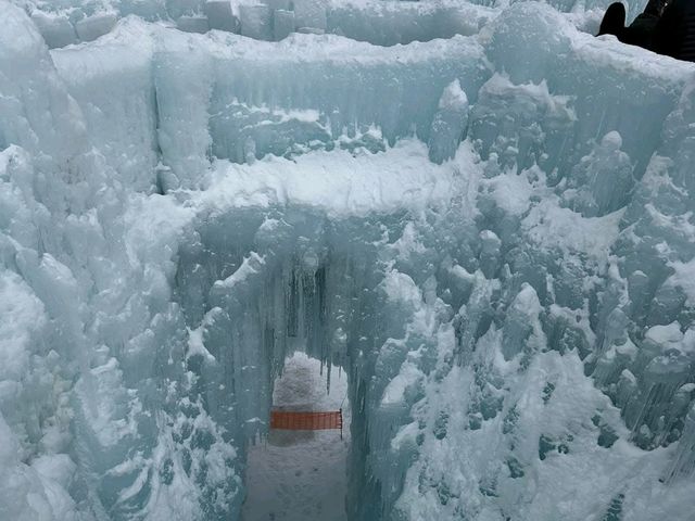 Epic Ice Sculptures✨