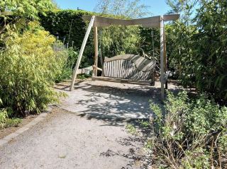 Light plays a quiet role in shaping Harlow Carr’s atmosphere. 🌿☀️✨