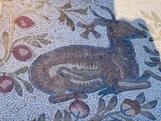 #winterescape Step Back in Time at Carthage National Museum 🏛️🌞  
Nestled among lush trees and ancient ruins, Carthage National Museum whisks you straight into Tunisia’s epic history. Get ready to wander through open-air relics and sun-kissed vistas where centuries-old architecture meets nature’s calm.

🗺️ Recommended Route:  
Start your journey outside with the open-air ruins—remnants of walls and centuries-old columns make for striking first impressions. Then step inside the museum for mosaics, Punic artifacts, and relics from Carthage’s ancient prime.

✨ Must-Do Experiences:  
- Marvel at the detailed ancient mosaics and impressive statues inside.  
- Head outside to walk amongst the ruins—imagine ancient life with the Mediterranean breeze on your face.  
- Pause at the panoramic outdoor points for a sweeping view over Carthage toward the sparkling sea.

📸 Top Photo Spots:  
- Capture the sun streaming through centuries-old arches (mornings or late afternoons = perfect golden hour shots).  
- Snap close-ups of detailed mosaics and weathered columns peeking through greenery—nature and history collide here for truly Insta-worthy angles.

📝 Practical Tips:  
- The museum is open 9:00–18:00 on Mondays and 9:00–17:00 Tuesday through Sunday.  
- Light layers and a sun hat recommended—the outdoor ruins can get toasty!  
- Bring water; few vendors are onsite.

⚠️ Precautions:  
- Uneven ground near the ruins—wear comfy shoes.  
- There’s minimal shade, so sunscreen is a must, especially for longer strolls.  

#Carthage #Tunisia #History #Ruins #TravelTips