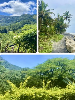 喀拉拉咖啡之旅