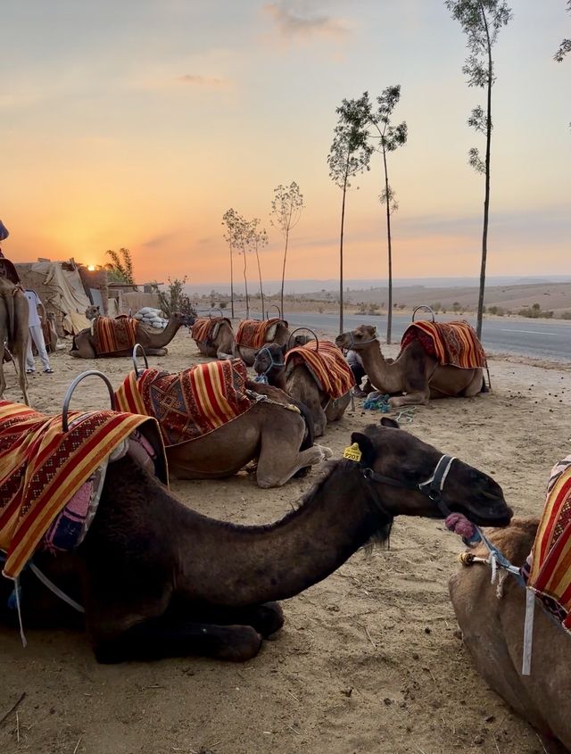 🇲🇦 MOROCCO IS NOT WHAT YOU THINK…