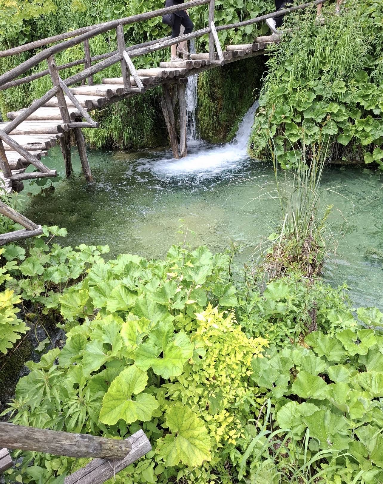 At Plitvice Lakes National Park, water is the heart of the entire landscape. 💙🌊