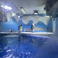 Underwater world Aquarium 