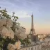 ExploreTheGlobe