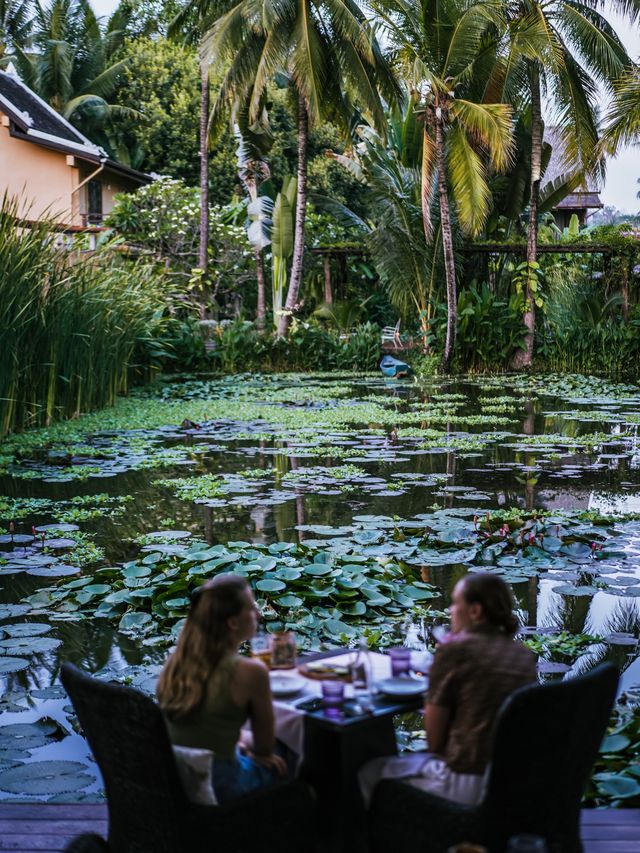 在一池蓮花畔用餐才是浪漫事🪷