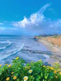 Hiking route, walking along the cliff flower sea may bring you peace...