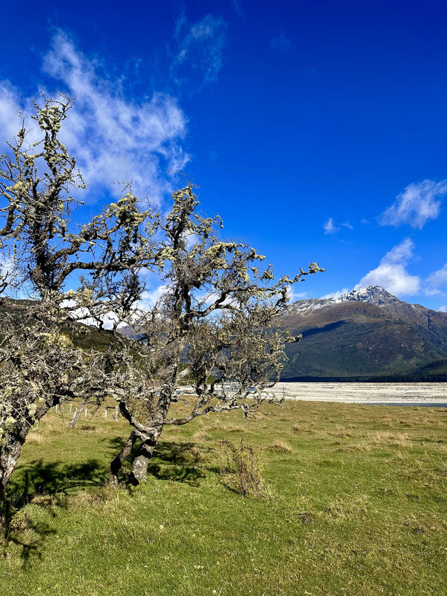 Middle-earth, a pure land beyond the world.