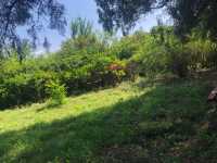 Henan Pingdingshan | Sansu Garden Scenic Area