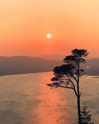몽환적인 일몰: 북아일랜드 로스트레버에서 마법을 쫓다 🌄