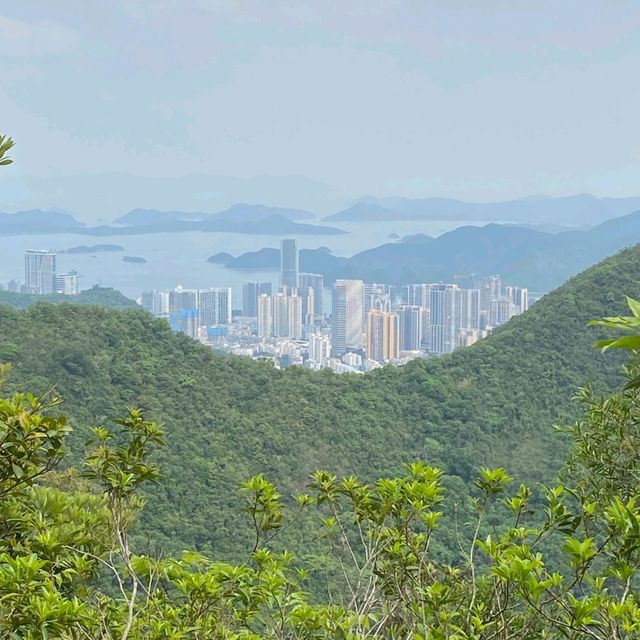 Dance of Nature & Human Skyscrapers 