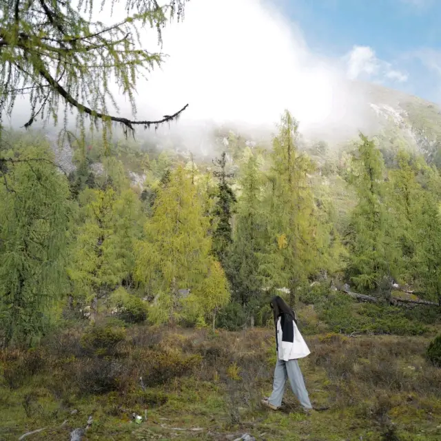 Wonderful Autumn-Hike in Dangling