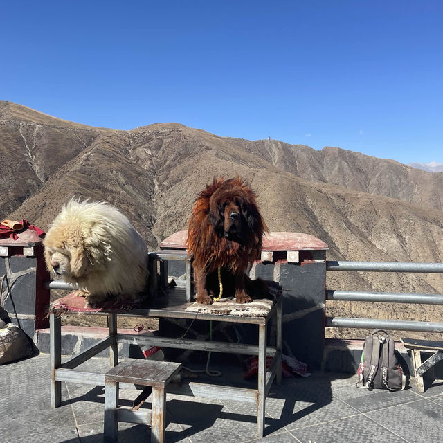 西藏之旅 - 羊卓雍錯｜一顆仙女散落的藍色吊墜靜躺山南
