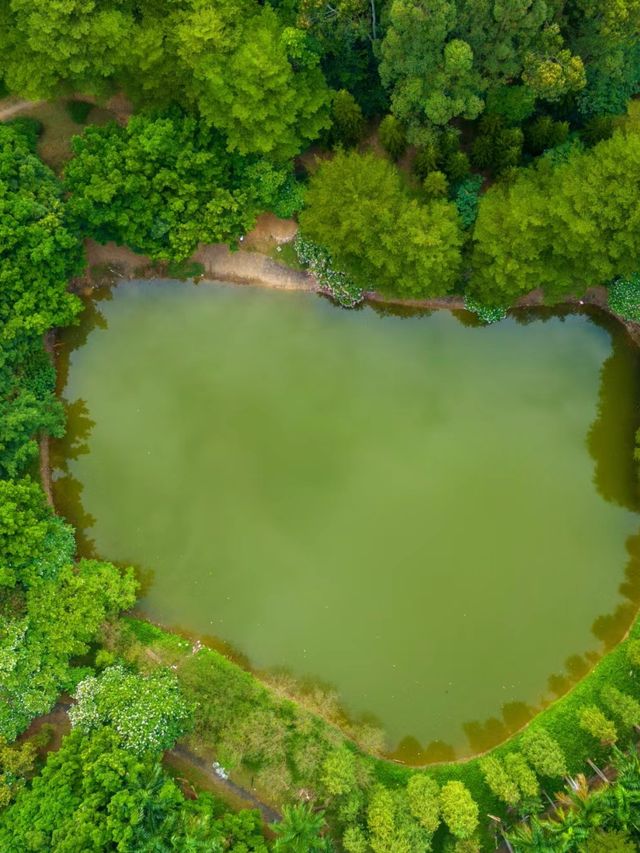 避開人從眾，廣州小眾森林湖畔露營地