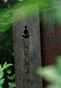 一步一景，曲水回廊流連在中式園林的雅致禪韻裡，忘返