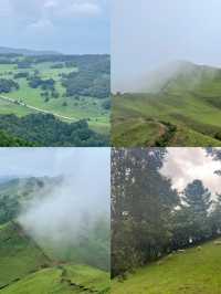 鳳龍山-入門級徒步路線