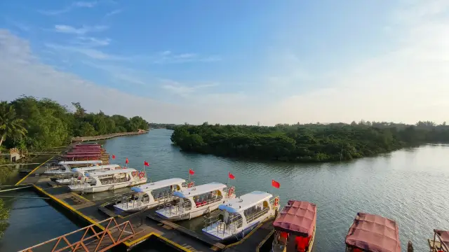 Hainan Free Tour - Dongsaigang Mangrove Forest