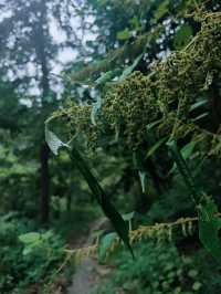 天台三日深度遊，何止最美寺，山上更有靈