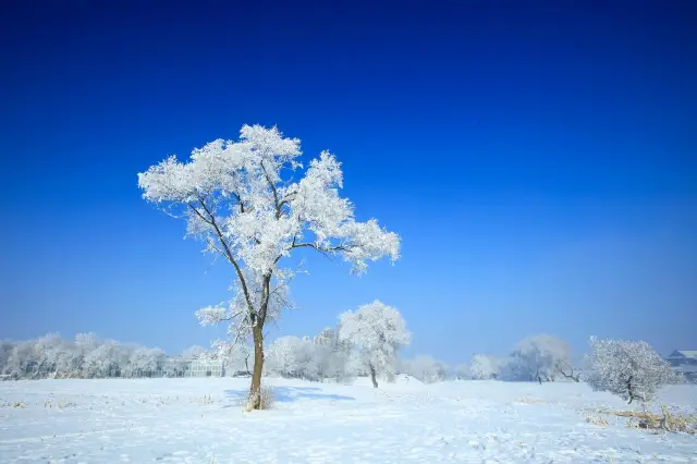 China's Snow Valley - Rime Ridge