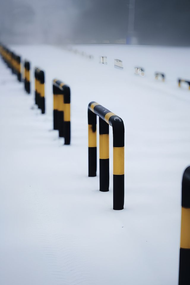 武漢的雪，落在了木蘭山之上