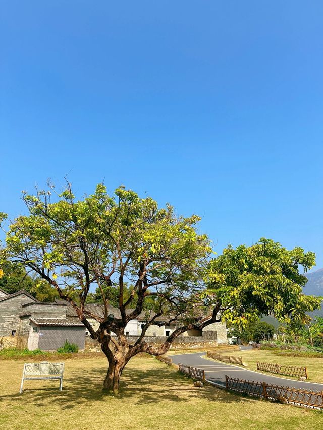 朋友以為我去了大理廣東的古村落太美了