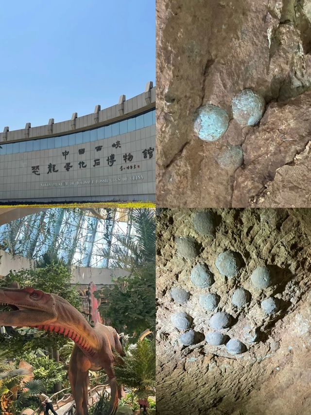 河南 恐龍遺跡園｜穿越時空來到恐龍世紀