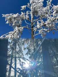 探秘重慶仙女山，一次就上癮的自然之旅