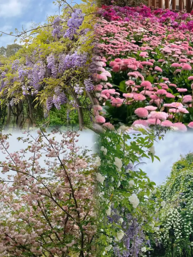 成都 成都植物園 ｜天然氧吧，森系寶藏公園