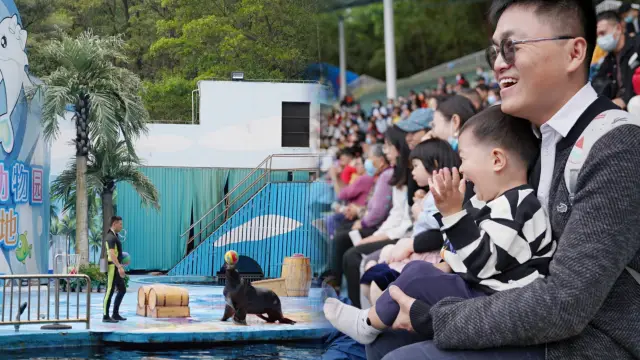 Shenzhen Outing with Kids｜Is it worth going to the controversial Wild Animal Park?