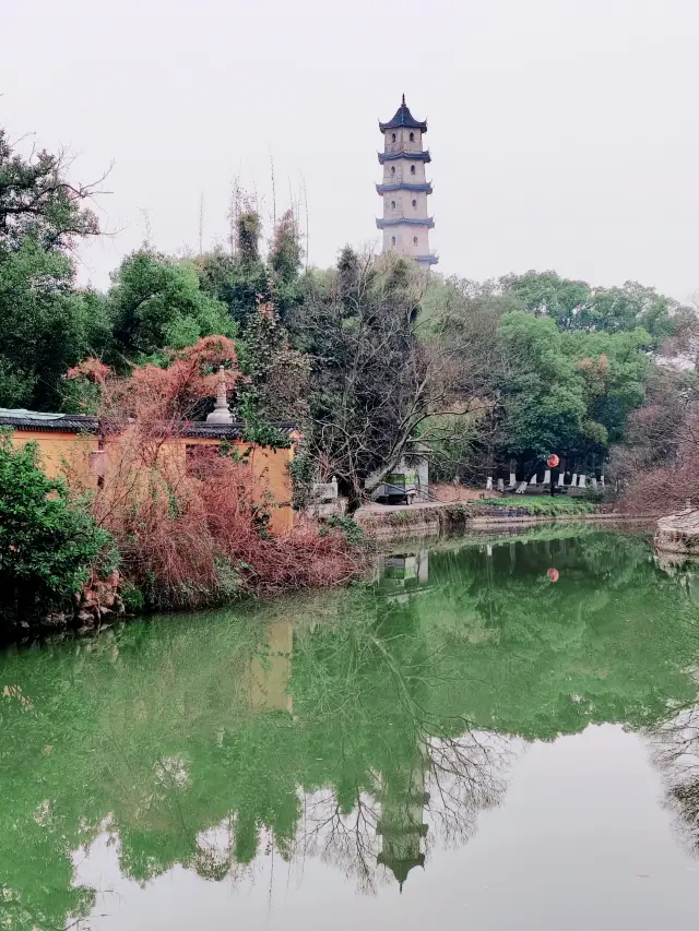 Wenzhou Jiangxinyu: Explore the water wonderland in Zhejiang