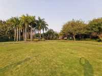 廈門白鷺洲公園