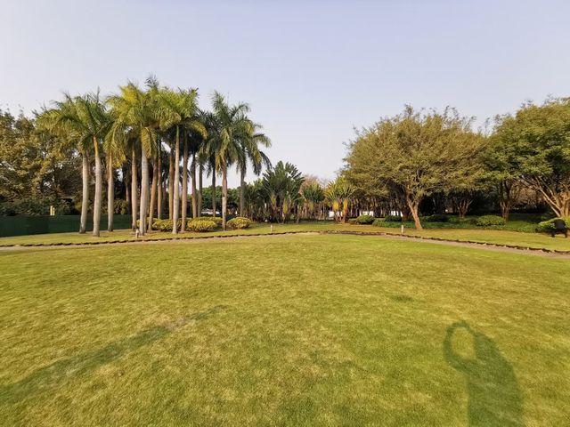 廈門白鷺洲公園