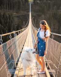 Cross the Hängebrücke Geierlay: A Thrilling Adventure in Germany! 🇩🇪😍