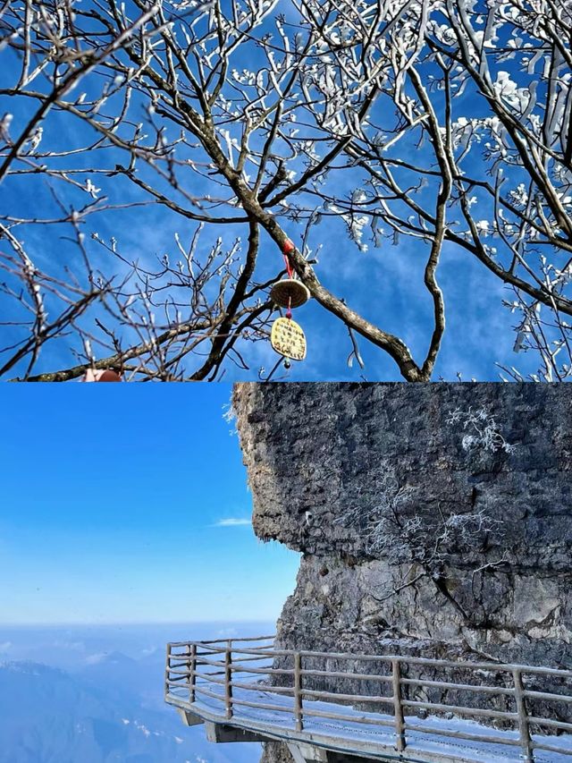 運氣太好了！在漢中龍頭山看到了雲海霧凇！