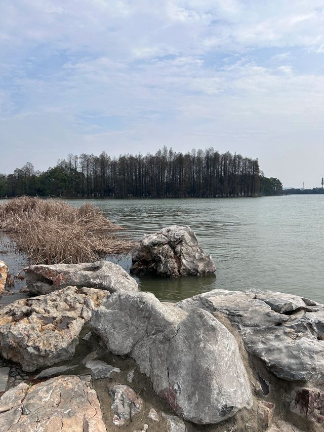 武漢東湖落雁景區｜武漢的後花園