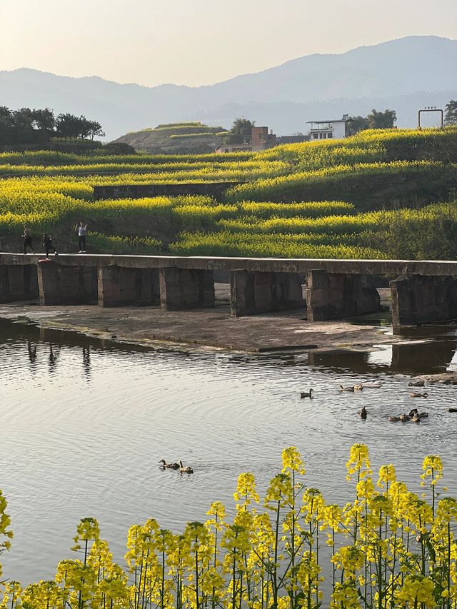 璧山的春天藏匿於村落間