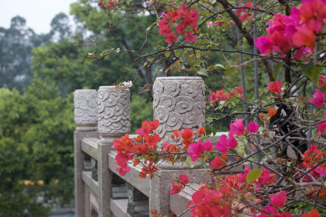 淨化心靈的地方～石室禪院