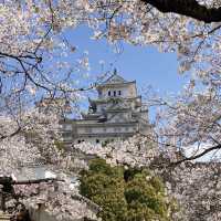 Magical Himeji castle