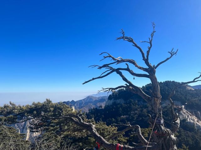 華山之旅：天地之間的風景畫