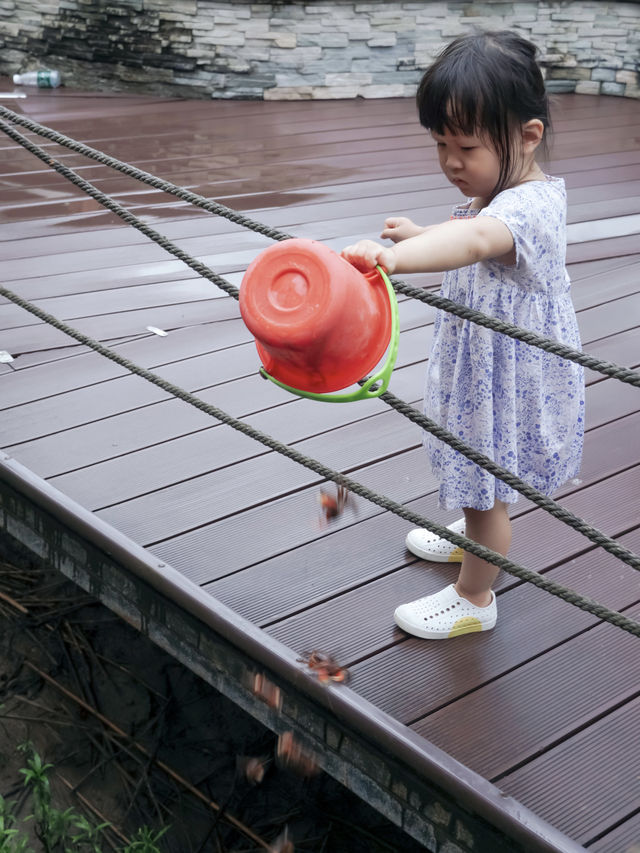 帶著娃去崇明看螃蟹吧 | 西沙濕地公園