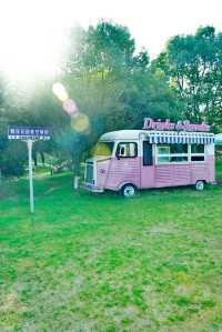 春天造訪金雞湖大酒店