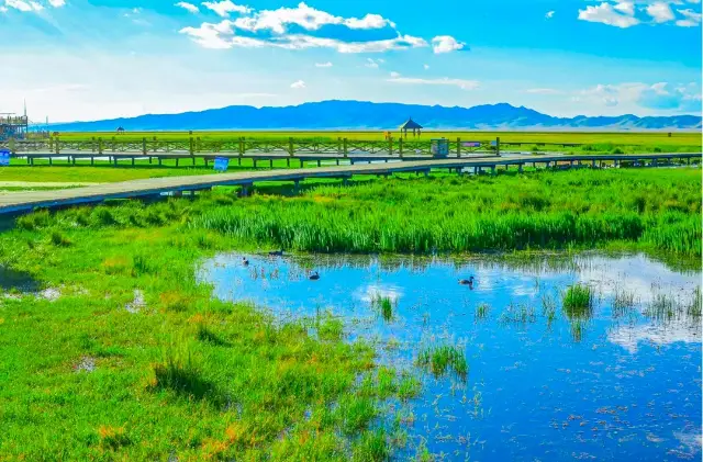 Sichuan Flower Lake Ecotourism Area: Discover the beauty of nature with lakes and mountains, and the splendor of the natural ecosystem