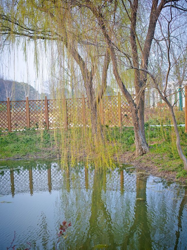 一個城市公園 春天的雙休日人都擠不進去 一個城市公園 春天的雙休日人都擠不進去