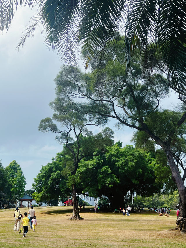 去春天的公園裡溜溜自己