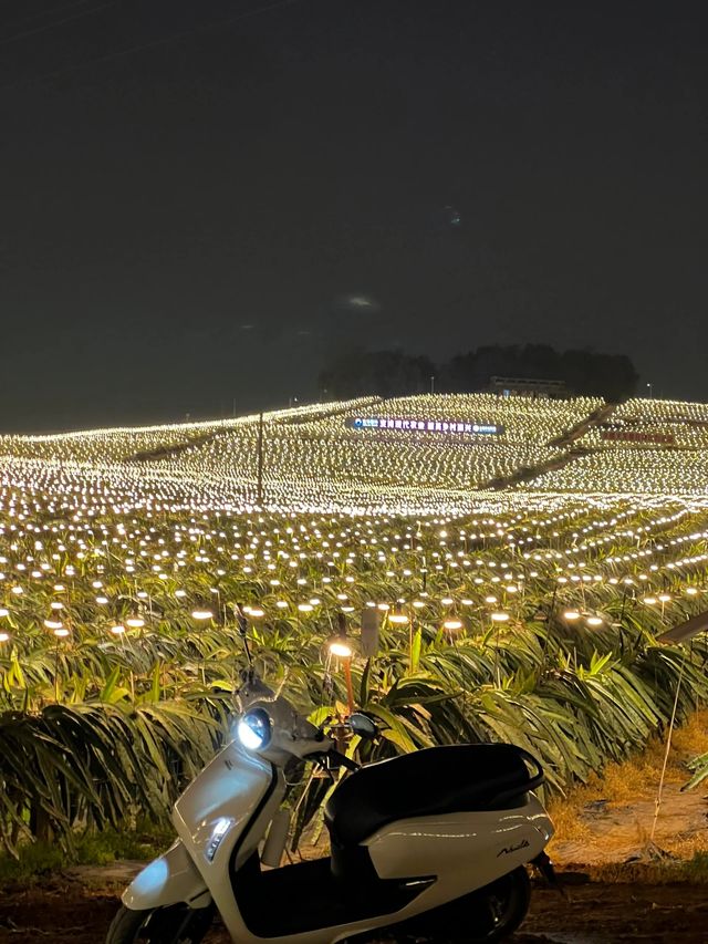 更望湖實況圖|枯水期 蕎麥花開 綠草地