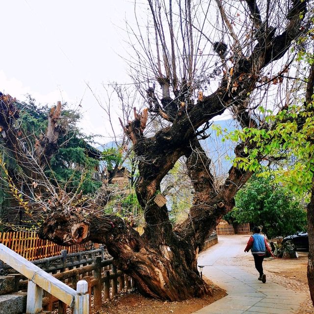 中國傳統村落-木垮村