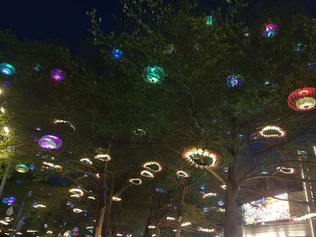 探索自然與繁華：深圳紅樹林與歡樂海岸雙重體驗之旅